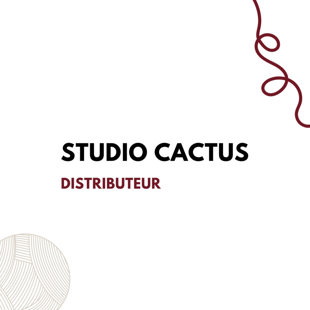 Studio de laine Cactus